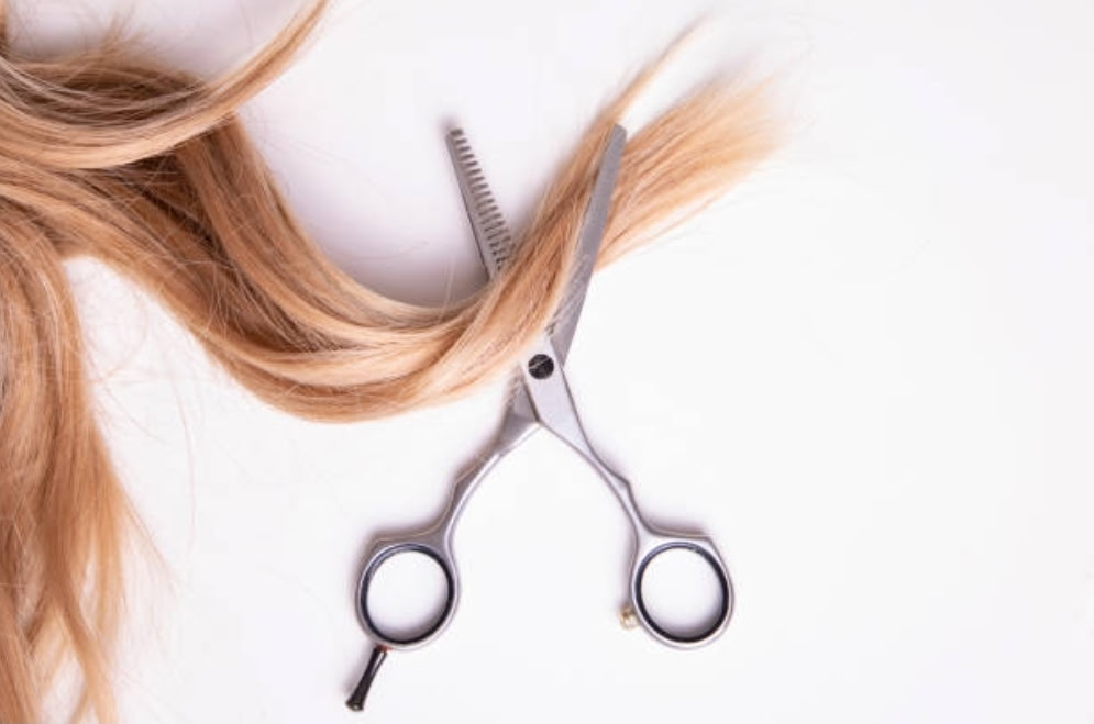 Women’s Shampoo, Haircut & Style