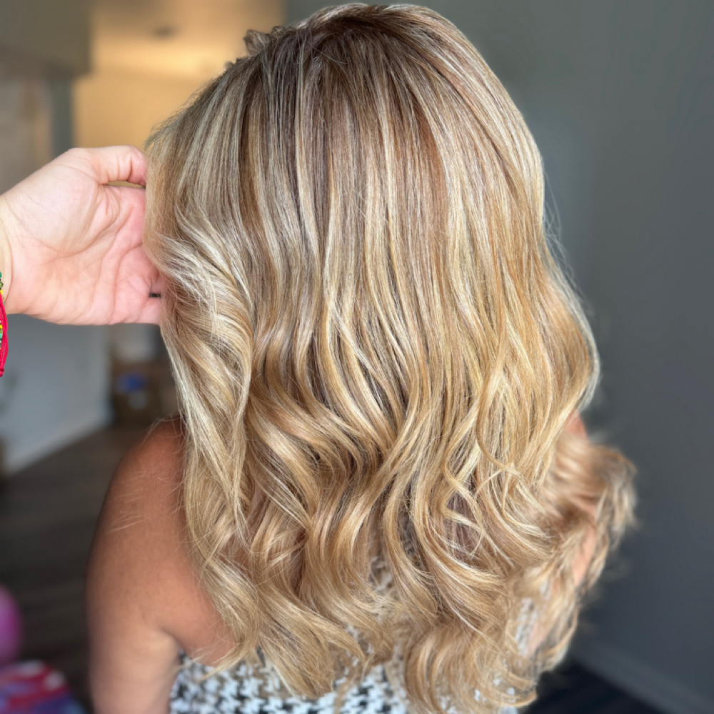 Highlights at Q_Bonita_colina in Houston Tx, TX