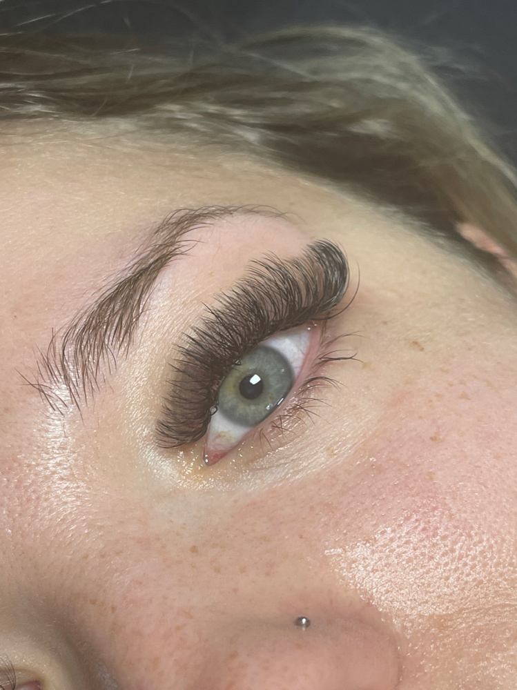 Volume Lashes