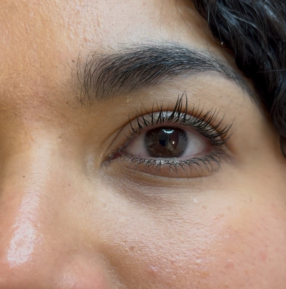 Lash Tint