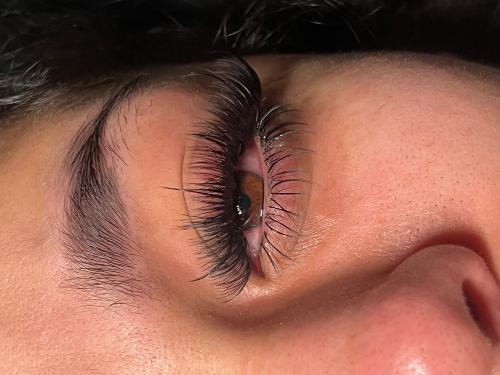 Wispy Hybrid