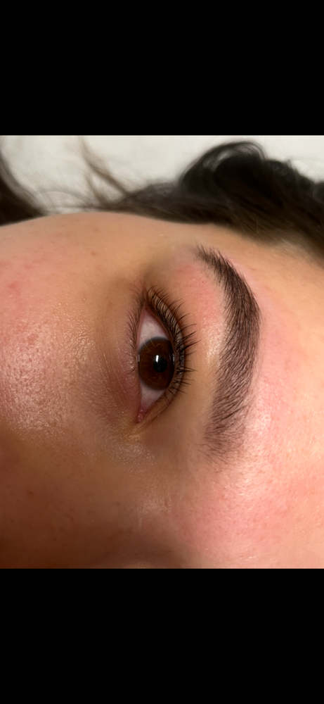 Eyelash Tinting\brow Tinting