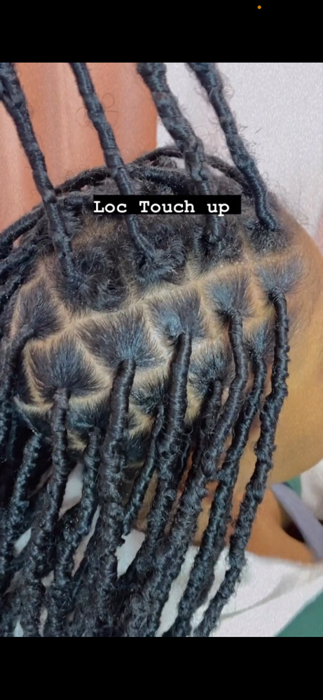 Loc Touch Up (Full Head Only)