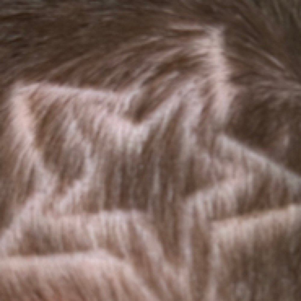 Undercut Maintenance at Dye By The Blade in Indianapolis, IN