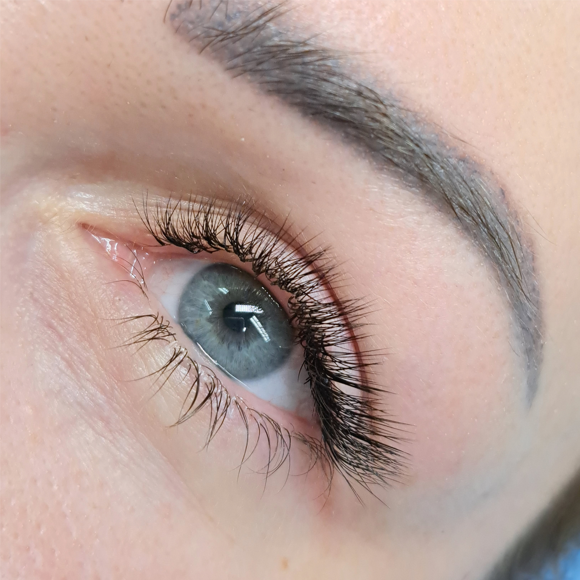 Lash Lift & Tint at Honey and Oak Skin Studio in Bellingham, WA