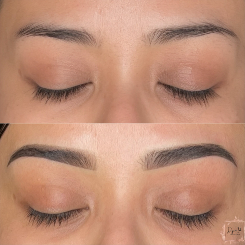 Powder Brows: 1 - 2 Year Touchup