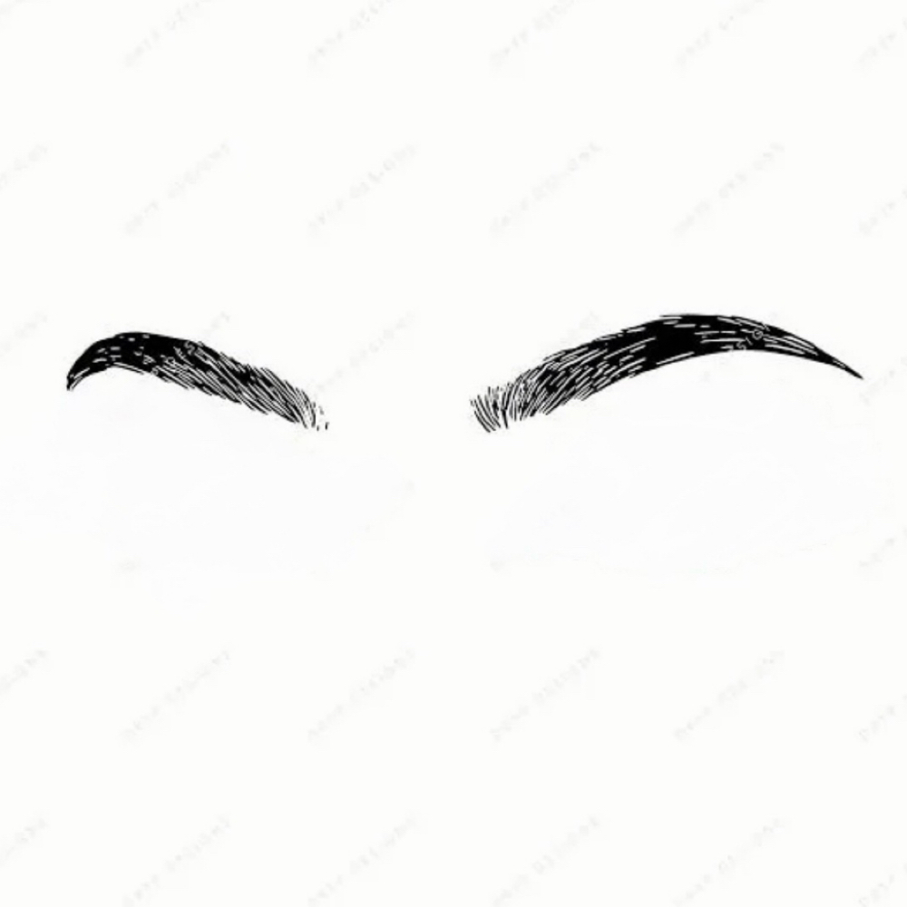 Brow Wax & Tint at The Skin Preserve in Severna park, MD
