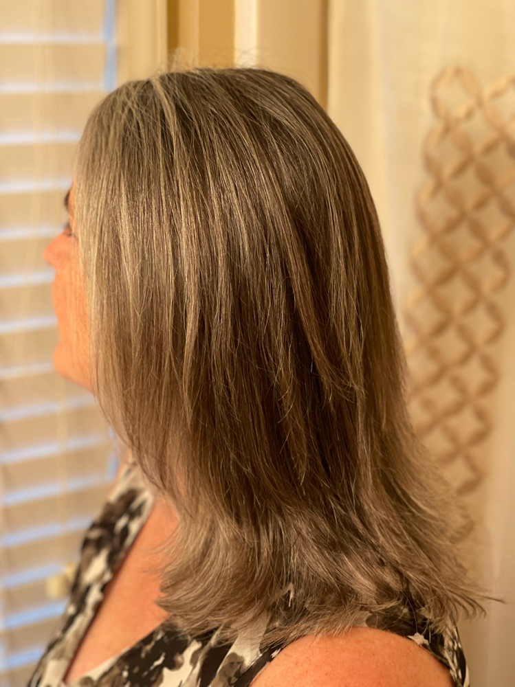Grey Color Blending at Blue Iris Mobile Hairstylist in Raleigh, NC