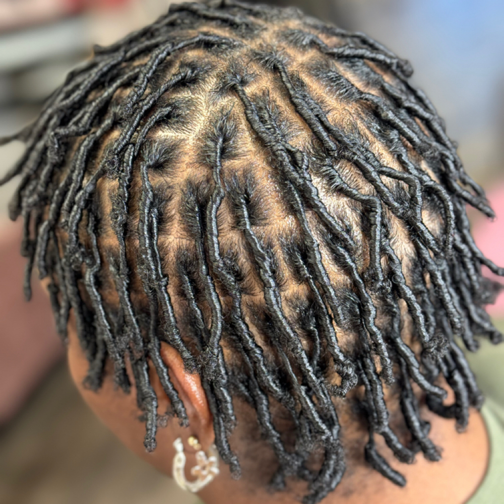 Adult Small Coil Starter Locs at Dee Did’em in Kinston, NC