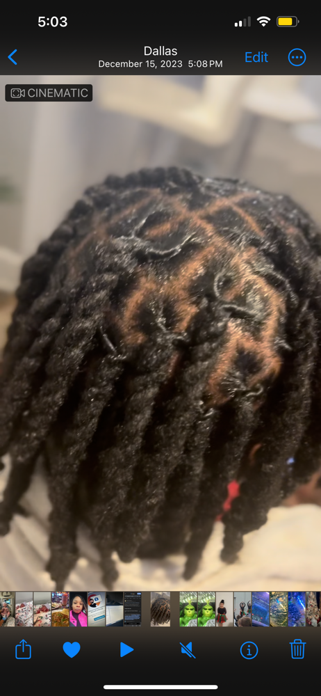 Two Strand Twist of Locs