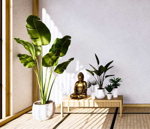 Nervous System Reset