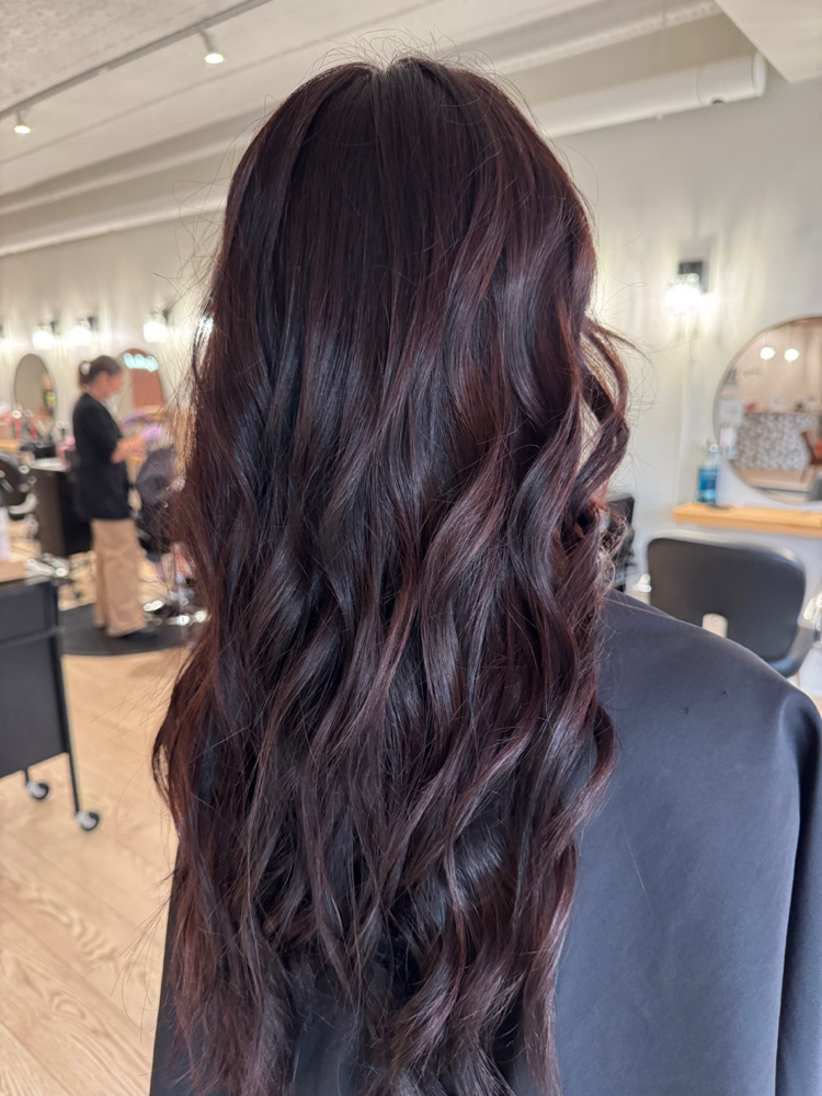 Full head color at Ally & Co. Studios in Springfield, MI