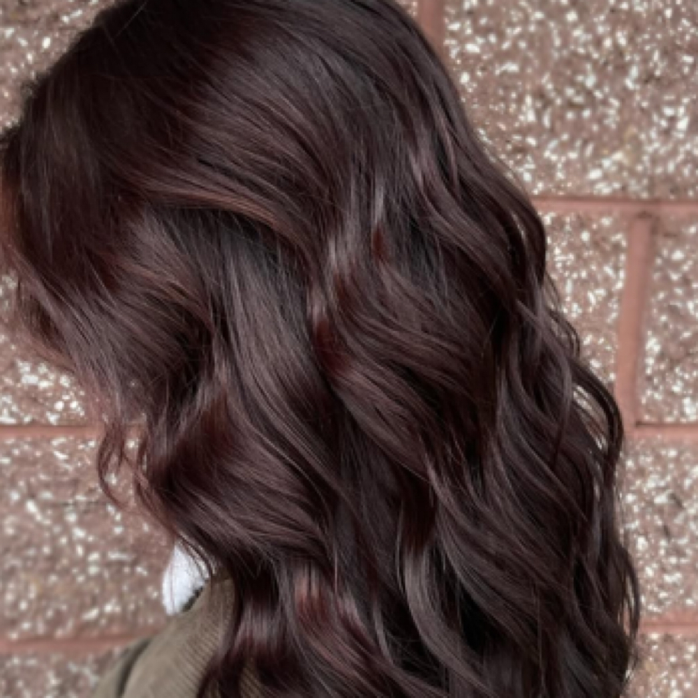 Condtioning Treatment & Blow Dry- at The Butterfly Loft in Fenton, MI