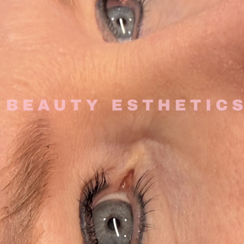 Lash Tinting at Beauty Esthetics in De Queen, AR