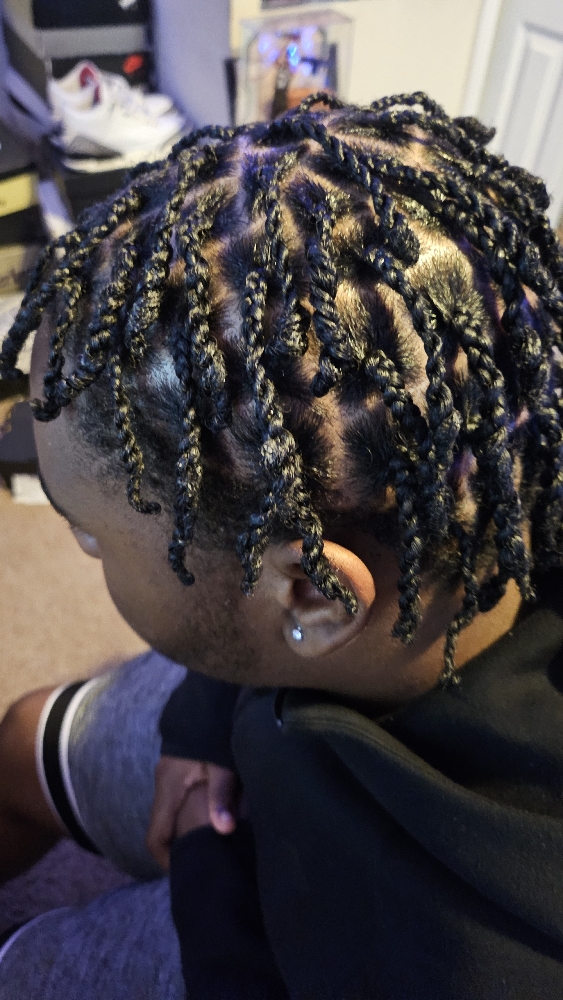 Two Strand Twist (Short And Natural at LiveLoveBraid By Alexis'Jade in Colonial Heights, VA