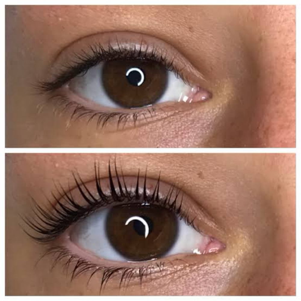 Lash Lift + Tint at Ember & Ivy Salon in Henderson, TN