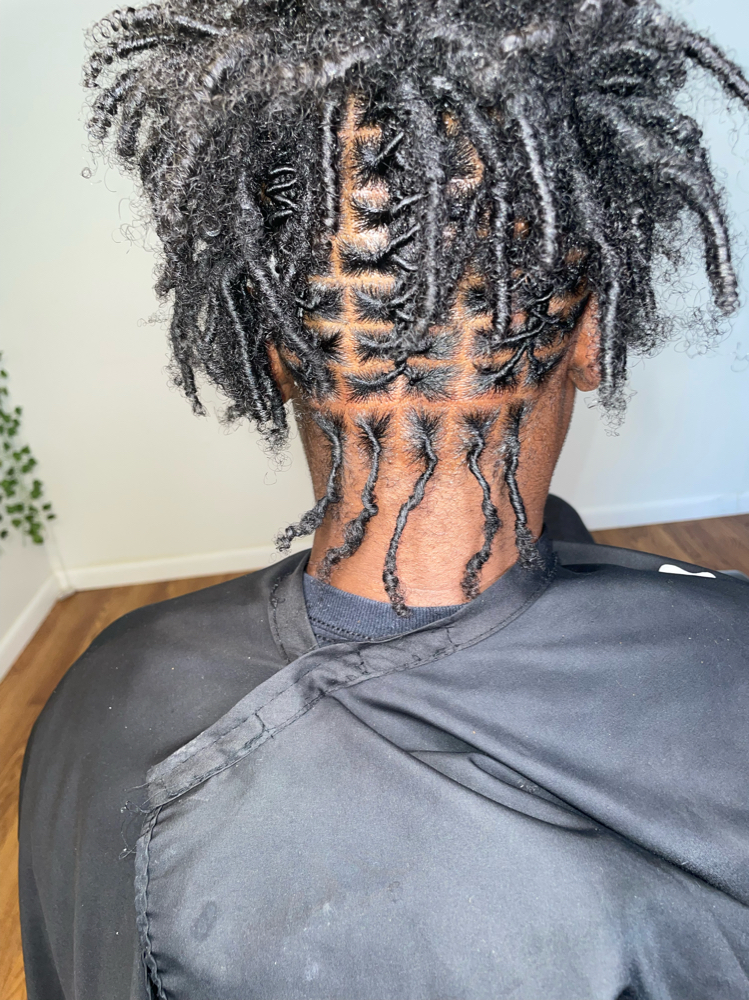 Small Shoulder Length Retwist ONLY