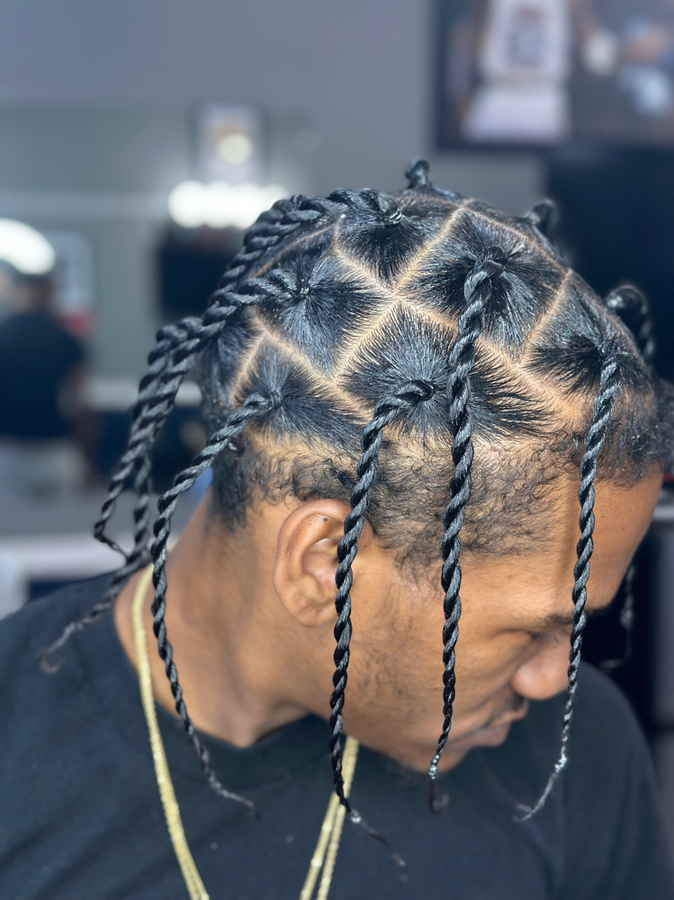 Two Strand Twist
