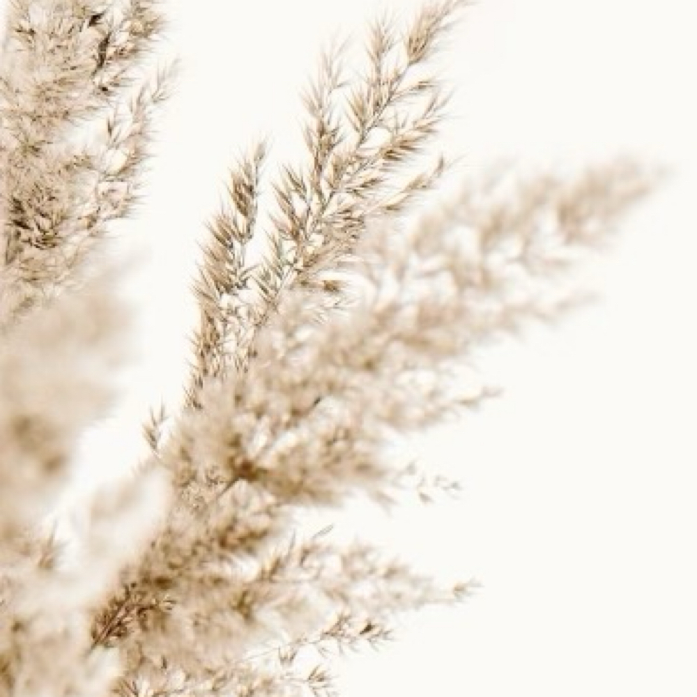 MENS COLOR at SHAYOLOGY in Glen Mills, PA