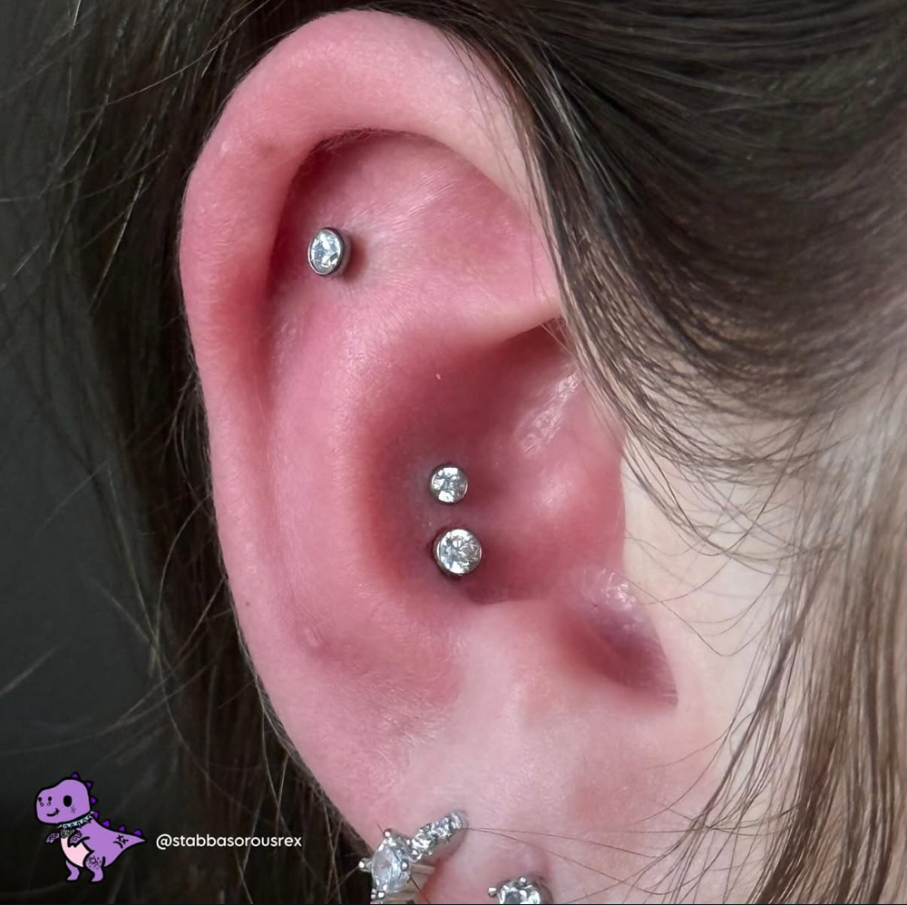 Double Conch