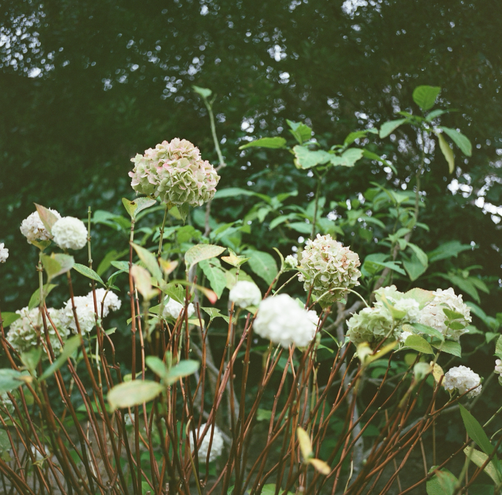 Custom Partial Lightening