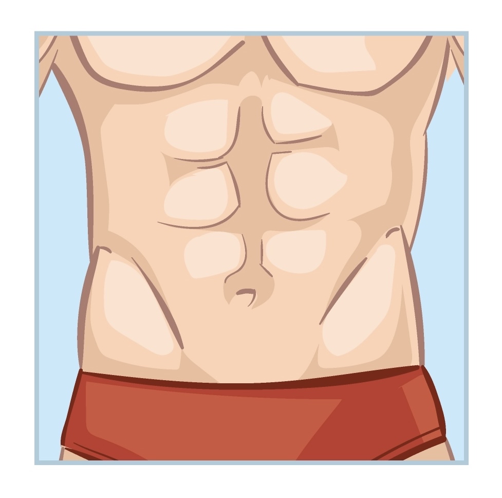 Stomach (Full)