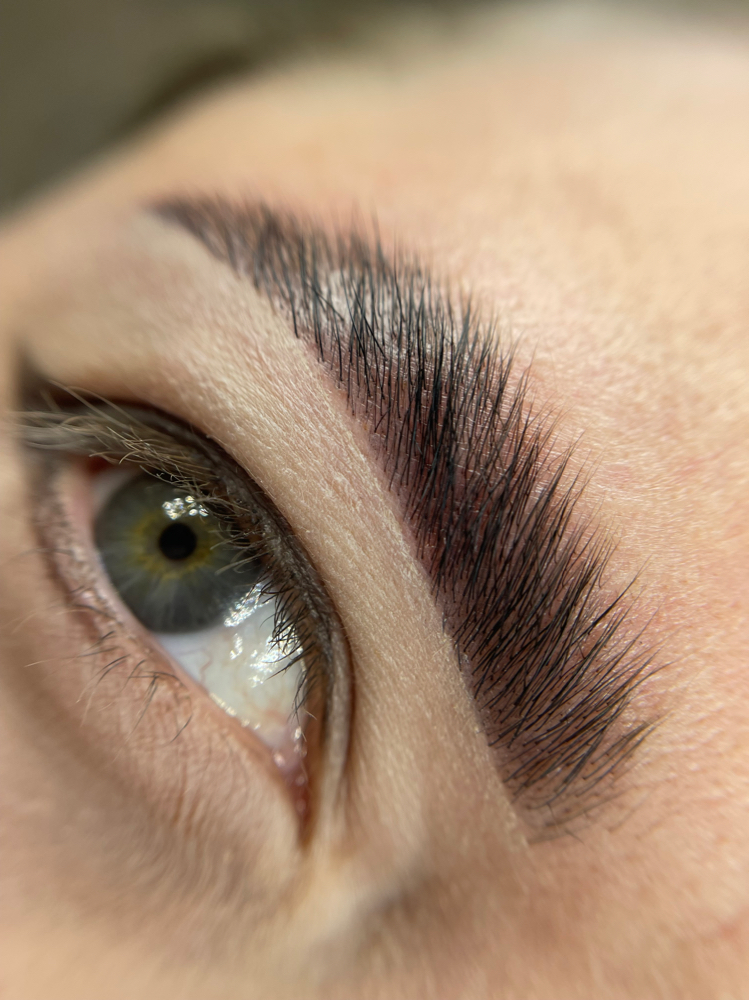 Brow Lami With Tint & Shaping
