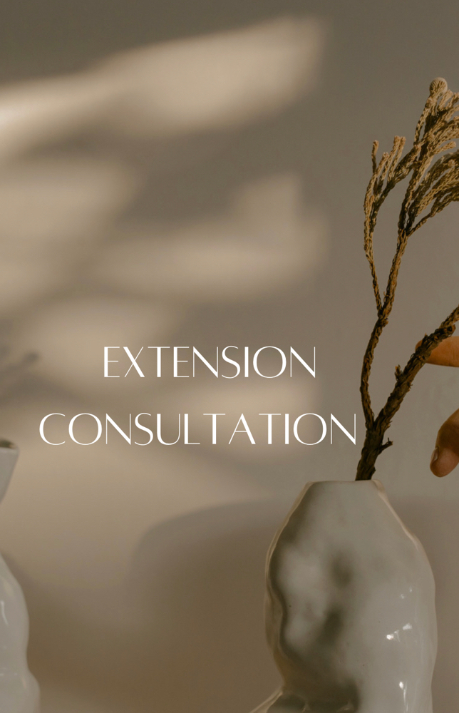 Hair Extension Consultation