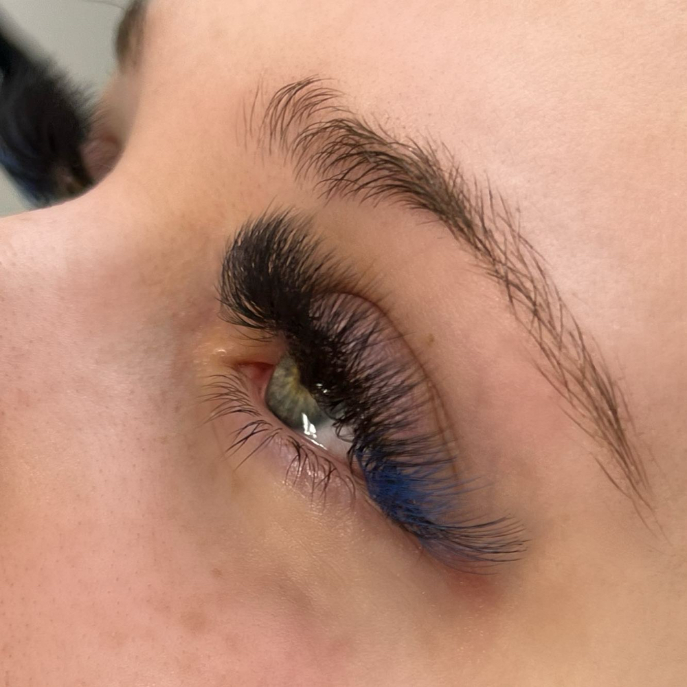 Volume Lash Extensions FILL