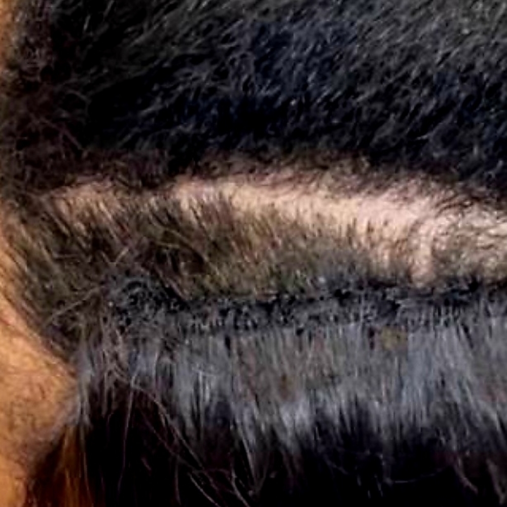 Tighten Weave With Thread at Salon Iso weaves in District Heights, MD