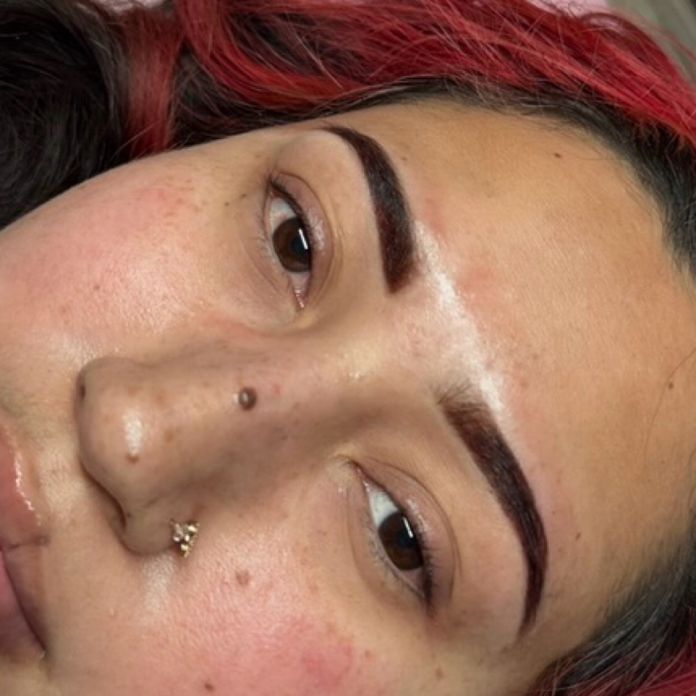 Brow Wax, Tint And Lamination at Lash Vixin in Katy, TX