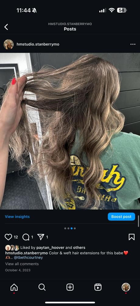 Natural Beaded Rows Extensions