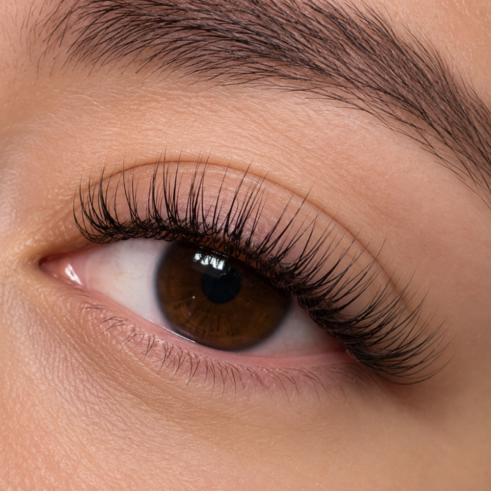 Classic Eyelash Fill at Beauty By Meza in Spring Valley, CA