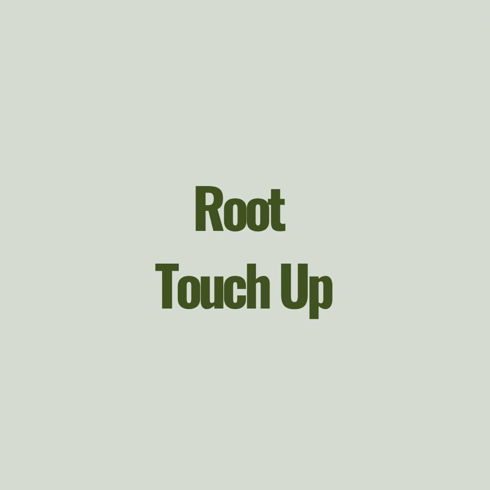 Root Touch Up at Center Street Studio in Sebewaing, MI