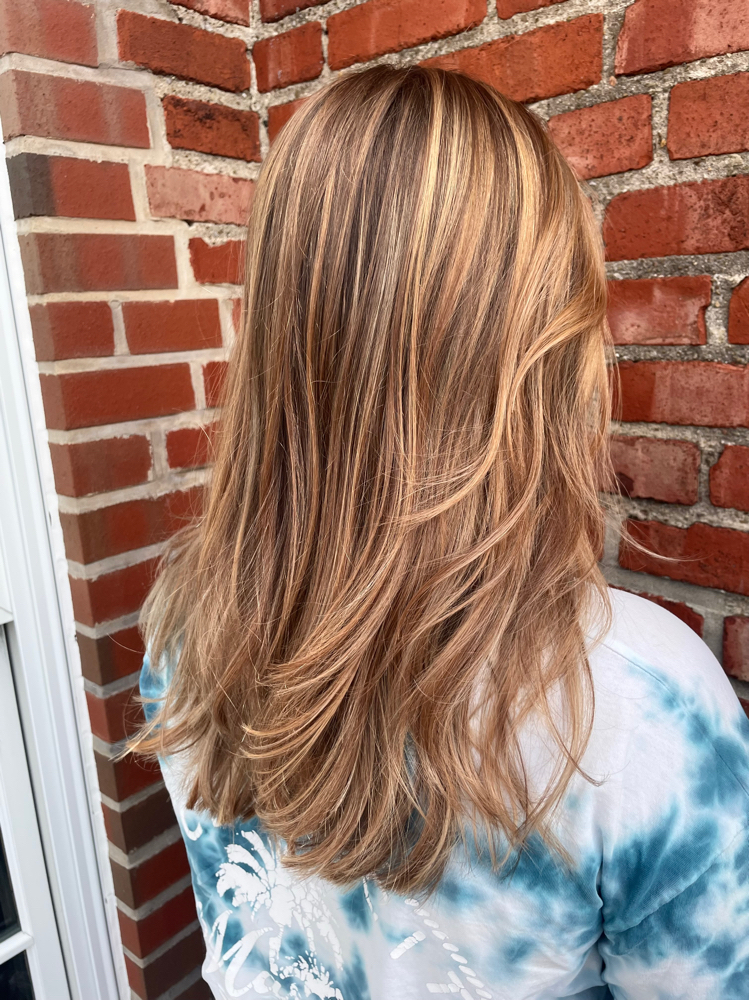 Highlights & Cut