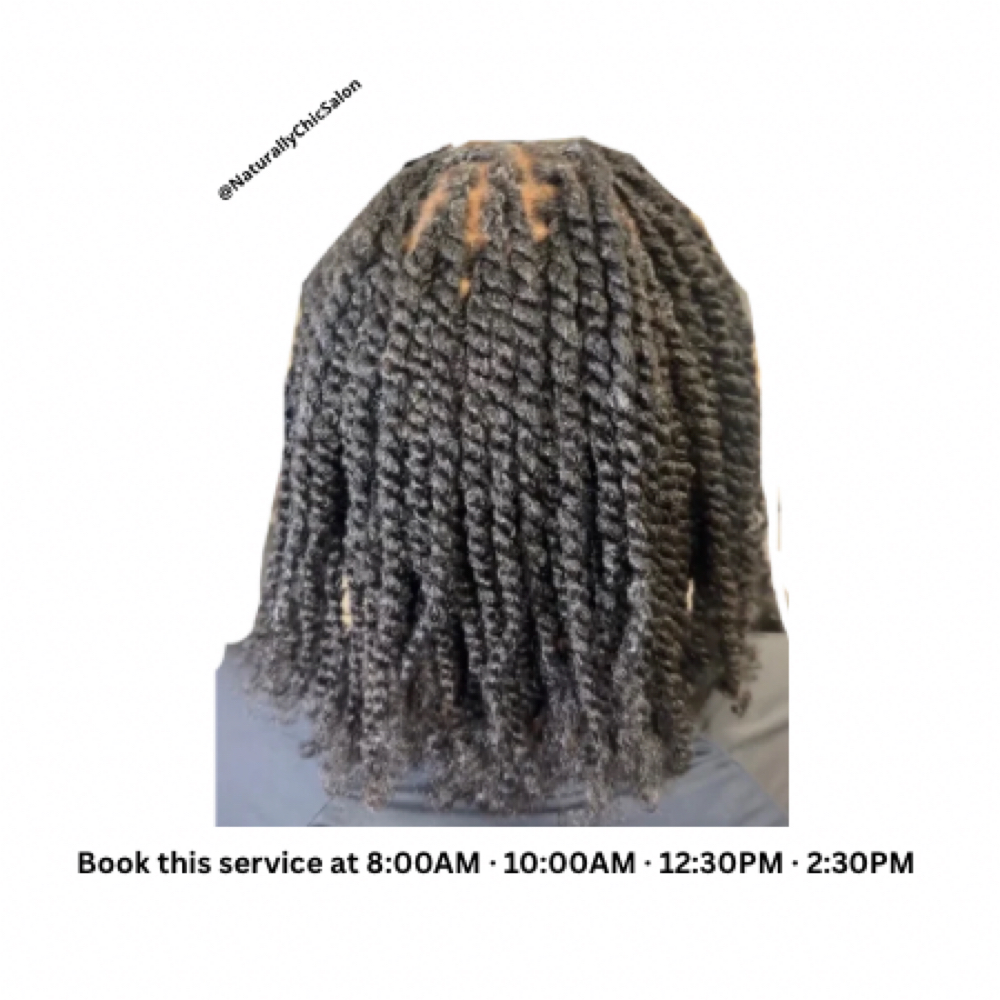 Two-Strand Twist with Braided Root at Naturally Chic Salon in Columbus, OH