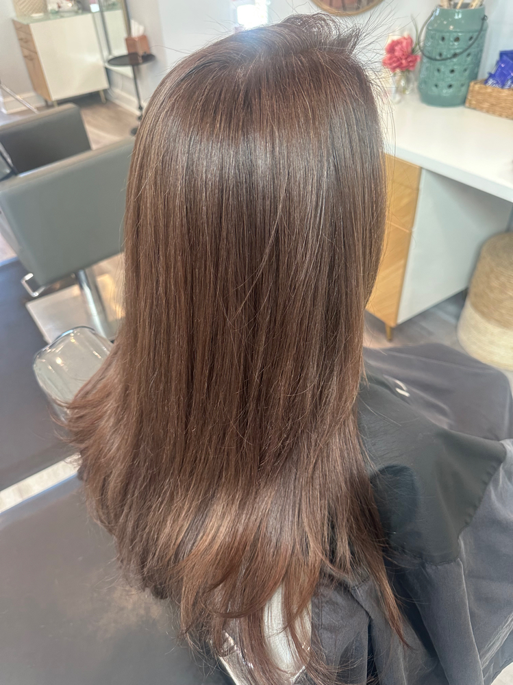 Womens Cut, Retouch Color And Gloss