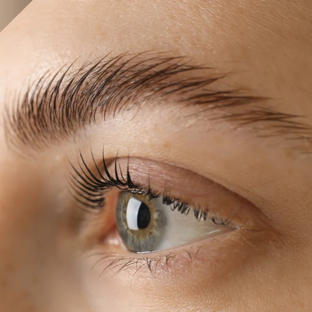 Korean Brow Lami & Lash Lift BUNDLE at Emily Dixon Beauty | TopDown Beauty Studio in Greenville, SC