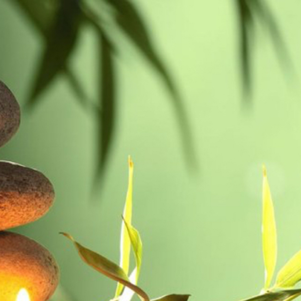 60 Min Custom Couples Massage at Skin Facts Esthetics Enrichment Salon in Savannah, GA