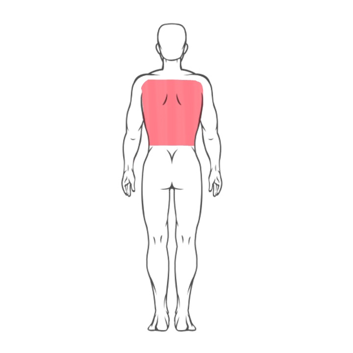 Full Back