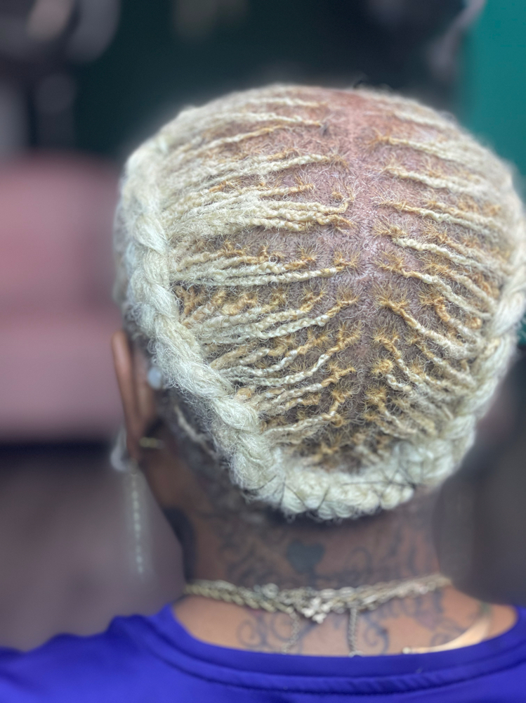 8in Micro Locs W/ Extensions