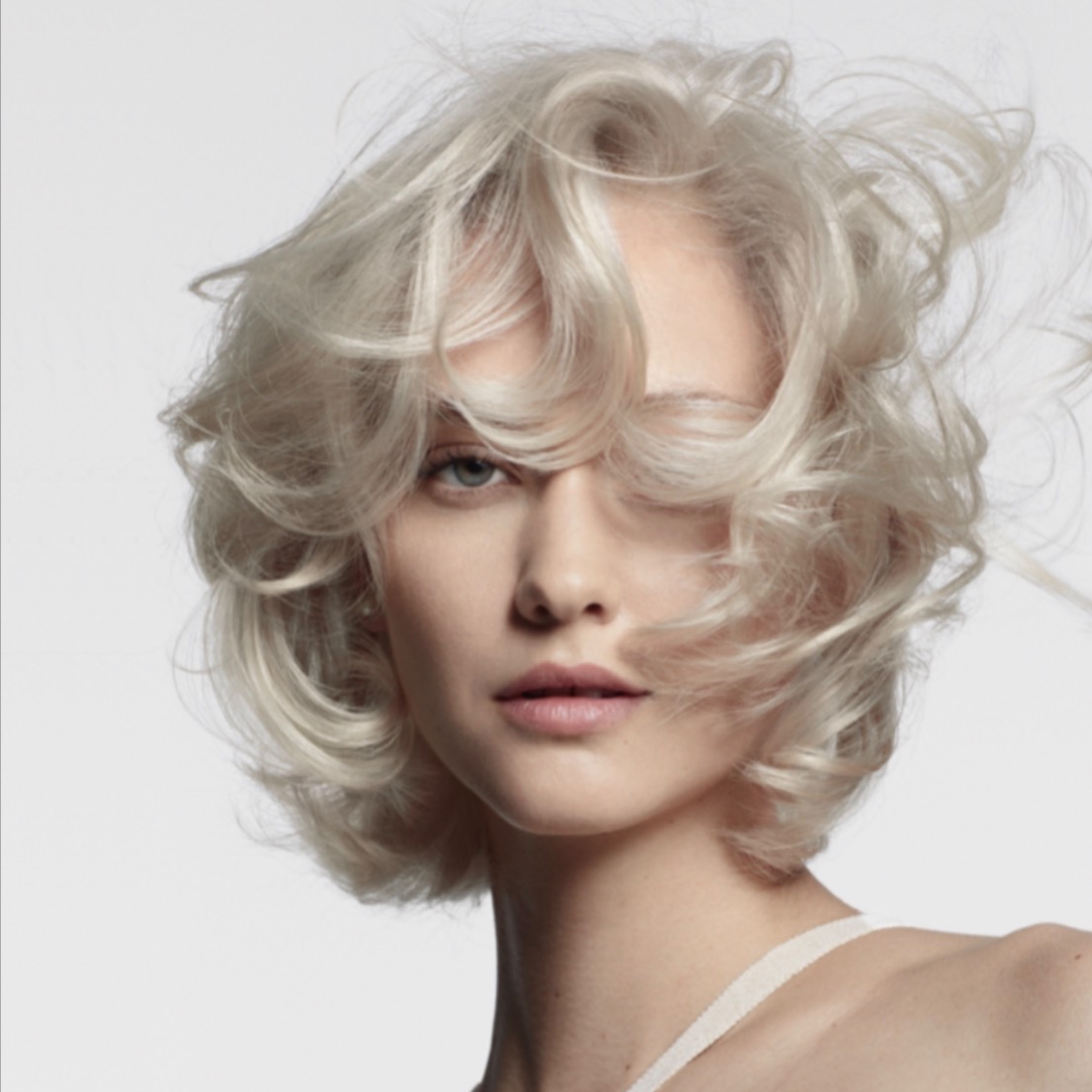 Global Blonding + Toning at Opal and Ivy in Vancouver, WA