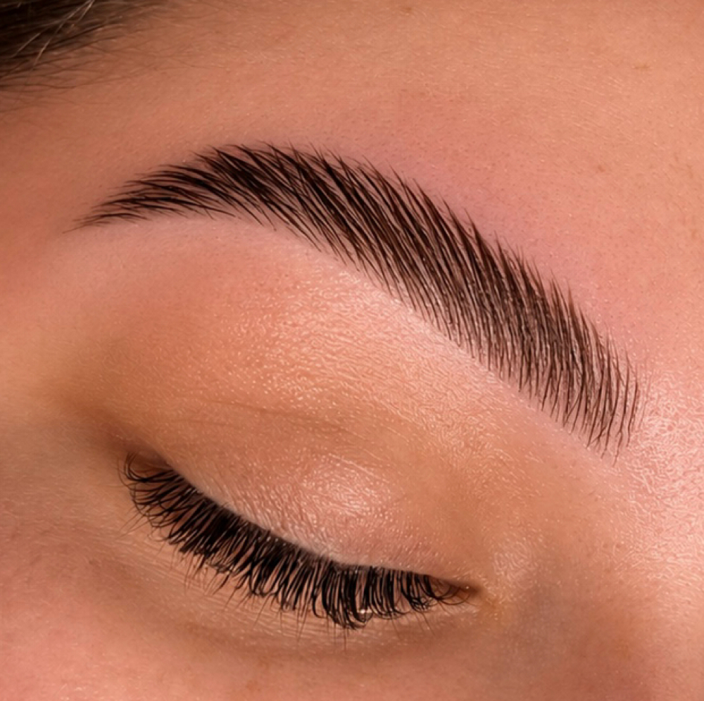 Brow Lami & Tint at Ciao Bella Lashes in Arlington, NY