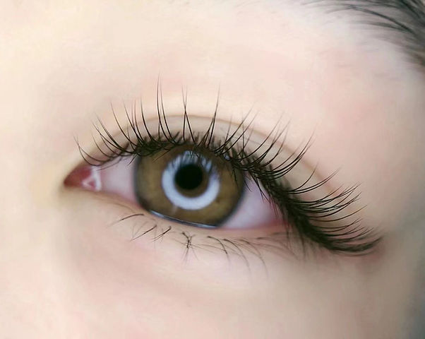 Classic Lashes