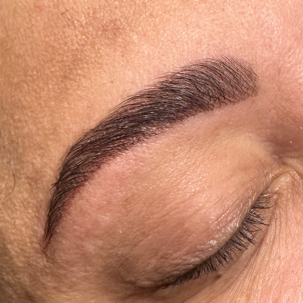 Brow Stain + Lamination + Removal