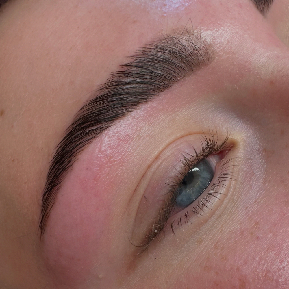 Brow Stain + Lamination + Removal at Repose Beauty Studio in Springfield, MO