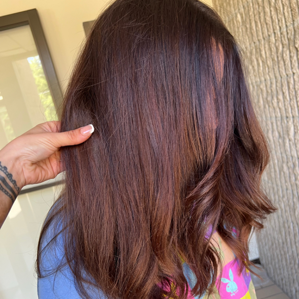 Double Process Color at Glam by Gabi - Shop 103 in Willard, OH