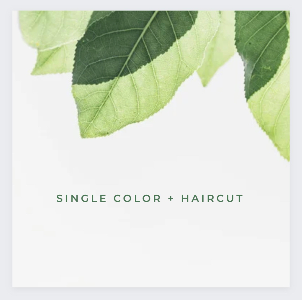 Single Color With Haircut