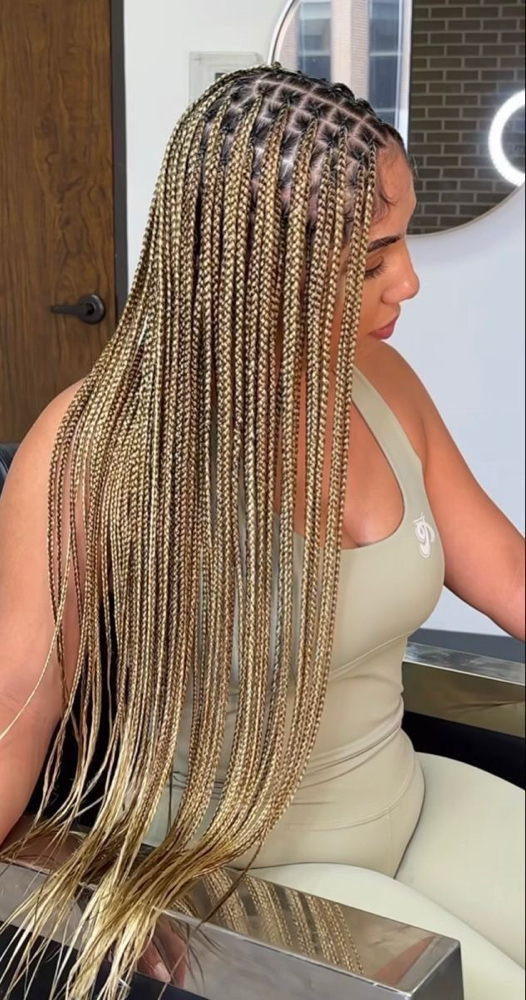 Box Braids (lower Back)