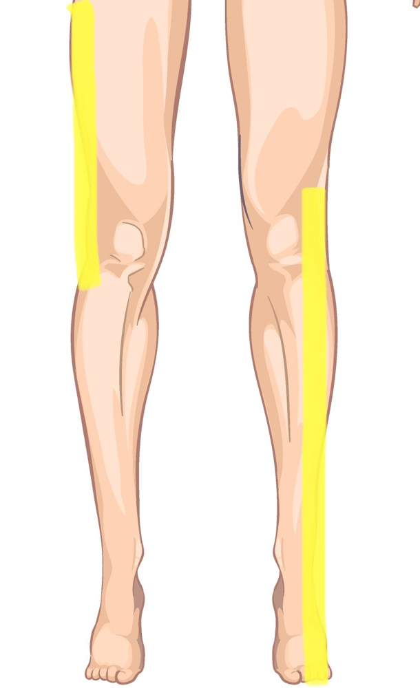 Legs (Half; Upper Or Lower)